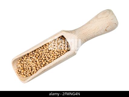 top view of white mustard seeds in wood scoop cutout on white background