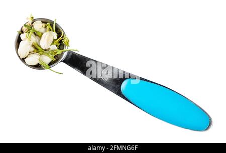 top view of dried jasmine blooms in measuring teaspoon cutout on white background Stock Photo