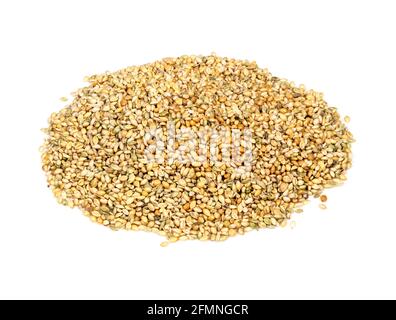 pile of unhulled foxtail millet (setaria italica) seeds closeup on white background Stock Photo