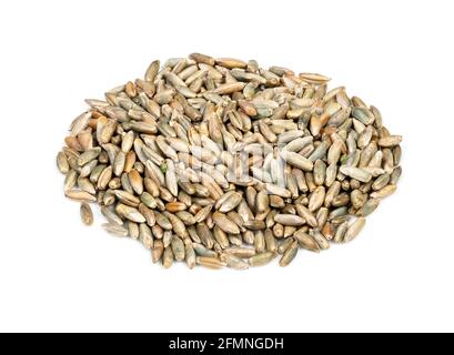handful of husked rye grains closeup on white background Stock Photo