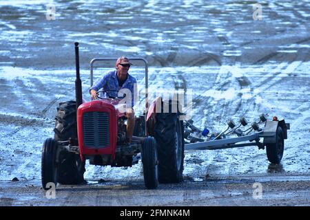 Man driving old tractor towing boat trailer from launching boat on sandy beach at low tide.