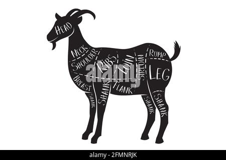 Butcher's guide - mutton - vector illustration Stock Vector