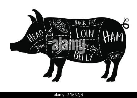Butcher's guide - pork - vector illustration Stock Vector