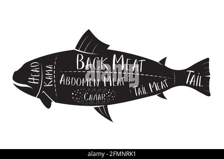 Butcher's guide - fish - vector illustration Stock Vector