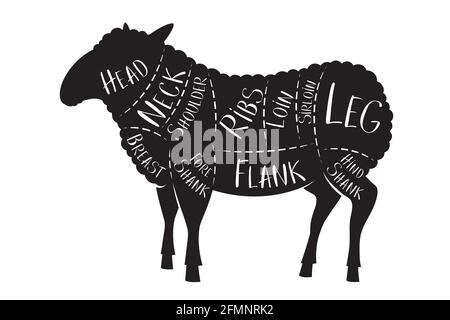 Butcher's guide - lamb - vector illustration Stock Vector