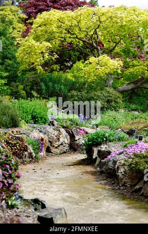 Dublin, Ireland 02 May, 2021. View on footpath in National Botanic garden in Dublin , Ireland Stock Photo