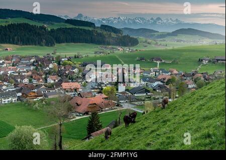 Aussicht auf Zäziwil Dorf im Frühling Stock Photo