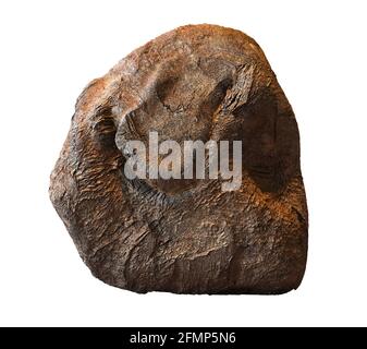 smooth brown rock isolated on white background Stock Photo