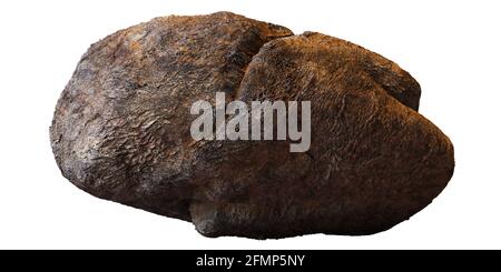 smooth brown rock isolated on white background Stock Photo