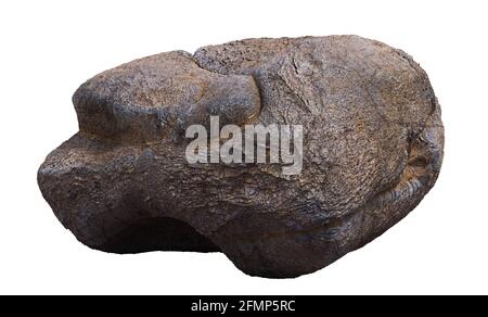 smooth grey rock isolated on white background Stock Photo