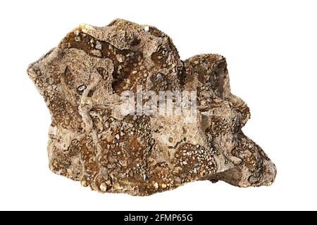 strange rough rock isolated on white background Stock Photo