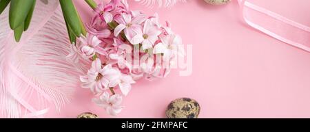 banner with quail eggs and pink hyacinth flowers, with pink ribbon and white feathers on pastel pink colors. Happy Easter concept. Easter background. Stock Photo