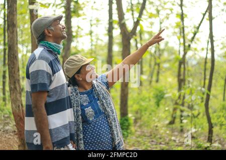 A portrait of a middle aged happy couple walking in forest and pointing finger upwards towards something, with a green blur bokeh background Stock Photo