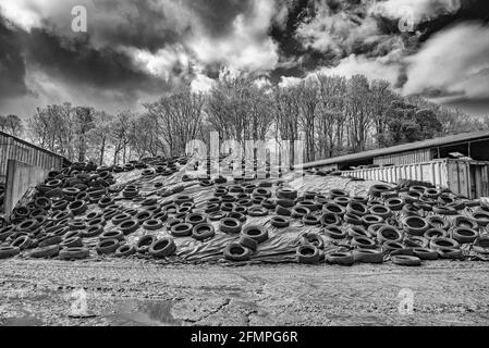 Tyres and silage clamp production Stock Photo