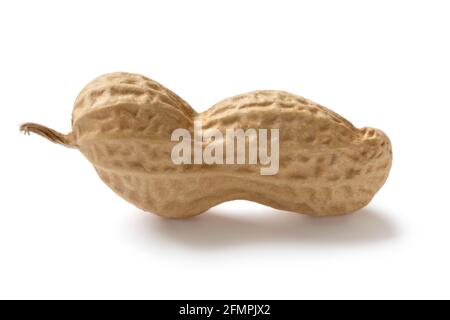 Single whole peanut in the shell close up isolated on white background Stock Photo