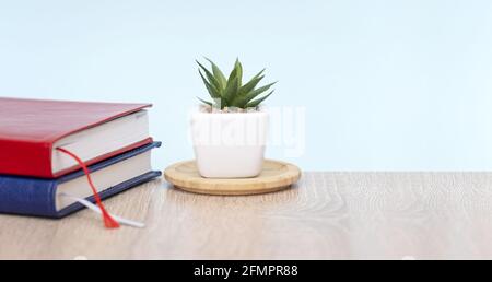 Minimal business composition with plant and diary on wooden desk Stock Photo