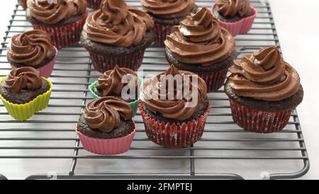 Chocolate cupcakes with chocolate buttercream frosting close up on white background Stock Photo