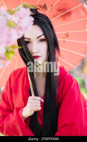 Portrait of young woman in image of geisha near blooming sakura dressed japanese traditional kimono with umbrella in her hand. Stock Photo