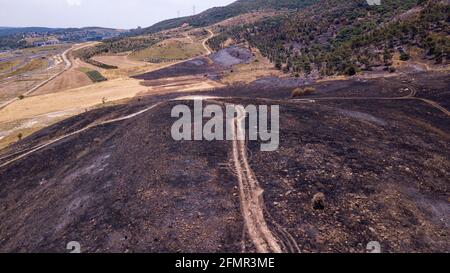 Drone view on a post Forest fire scorched land. Stock Photo
