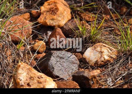 Natural Magnetite Iron Ore Rock Deposit With Quartz Stock Photo