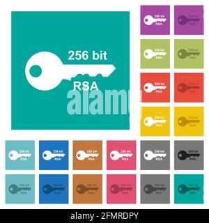 256 bit rsa encryption multi colored flat icons on plain square backgrounds. Included white and darker icon variations for hover or active effects. Stock Vector