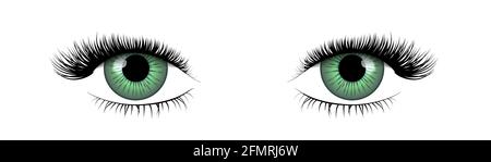 Couple of bright green realistic eyes with beautiful eyelashes on white Stock Vector