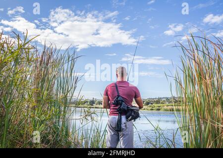 https://l450v.alamy.com/450v/2fmrjhd/caucasian-male-fishing-in-a-pond-surrounded-by-tall-green-water-reeds-cape-town-south-africa-2fmrjhd.jpg