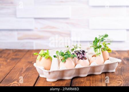 Microgreen sprouts in eggshells in a cardboard tray. Easter decorations. Easter egg. Stylish rural still life. Zero Waste Concept. Stock Photo