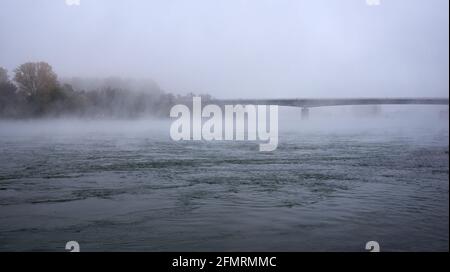 Salier Bridge over the Rhine near Speyer in the fog Stock Photo