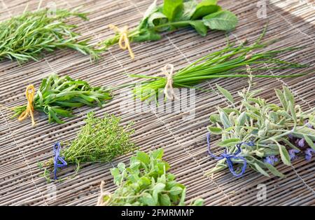 Bunches of various aromatic herbs, freshly picked. Stock Photo