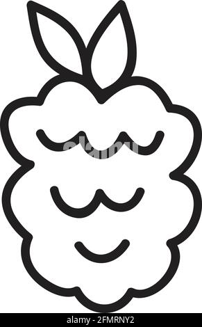 Raspberry fruit cute simple vector icon drawing Stock Vector