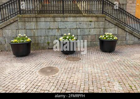 Beautiful view of flower in big pots outside of city building. Sweden. Stock Photo