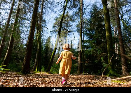 View of the back of a young girl with short ginger hair walking through a woodland scene. The girl is wearing a yellow dress with white stripes runnin Stock Photo