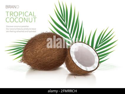 Tropical coconut realistic vector, whole and broken half coco nut and green palm leaves on white glossy background. Mock up banner or packaging design for natural products or organic cosmetics Stock Vector