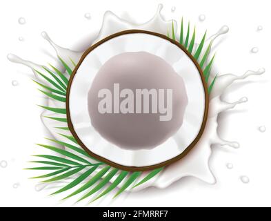 Broken coconut in milk splash and drops realistic vector, half coco nut with green palm leaves, isolated on white background, top view. Design element for food packaging, natural organic cosmetics. Stock Vector