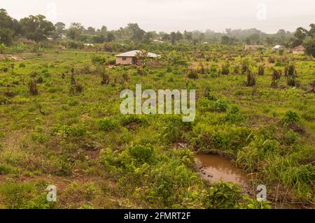 Rural village, Sinoe County, Liberia, West Africa Stock Photo