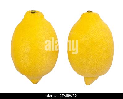 lemon path isolated on white Stock Photo