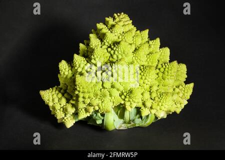 romanesco broccoli on black background Stock Photo