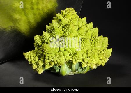 mirrored romanesco broccoli on black background Stock Photo
