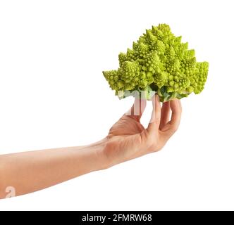 romanesco path isolated on white Stock Photo