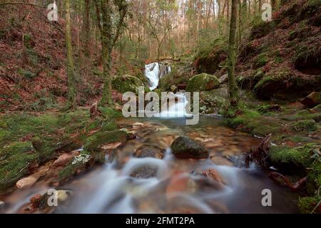 Small waterfall on the Rio de la Fraga in Galicia, Spain. Stock Photo