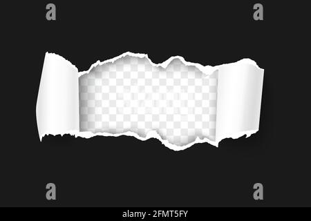 Torn paper with rolled edge on transparent background realistic vector illustration. Frame for your text or design. Black friday promo concept template Stock Vector