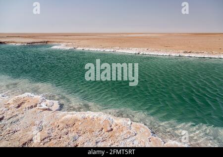 Chott el Djerid,  salt lake in Tunisia Stock Photo