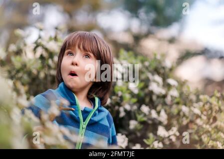 Portrait of young surprised boy , expression on face, kid in the blooming park. Concept of children emotion. Close up. Stock Photo