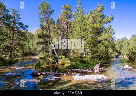 Aigüestortes National Park in the Vall de Boi, Spain. Two thousand feet the water is present Stock Photo