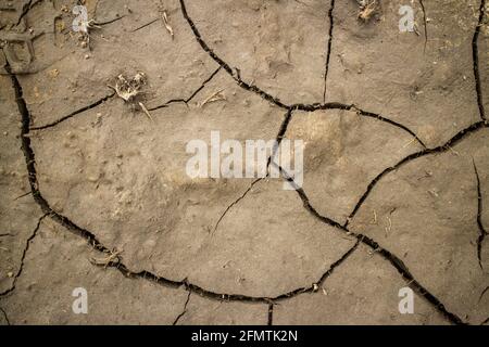 Large cracks in the ground. Abstract lines. Beautiful background. Nature. Stock Photo