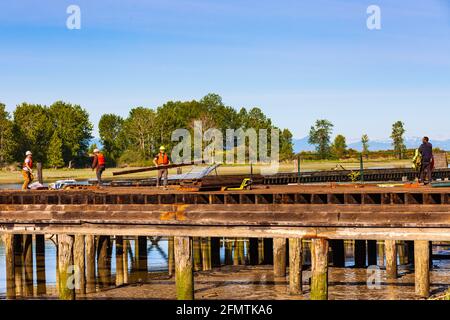 Workers removing the last floorboards and joists from a salvaged net loft in Steveston British Columbia Canada Stock Photo