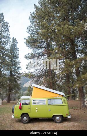 A green VW camper van in woods with top popped up. Stock Photo