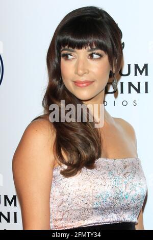 LOS ANGELES - JAN 7: Hannah Simone at the Art of Elysium 10th Annual