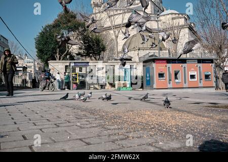 Many local bank ATMs in nuriosman mosque on yeniceri  avenue and many pigeon and doves flying and feeding Stock Photo